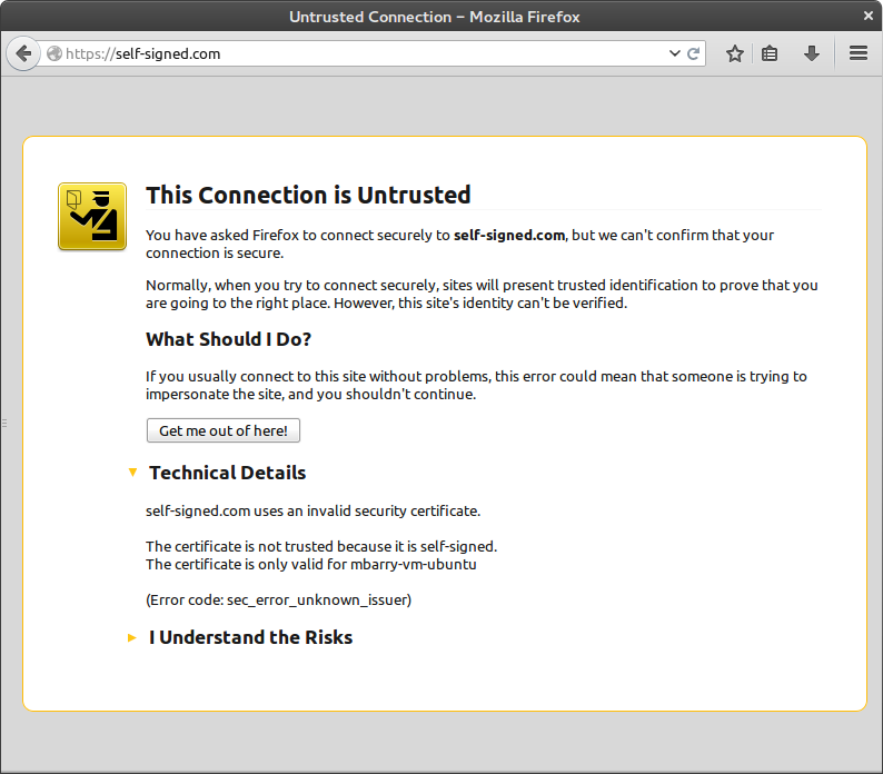 Browser screaming at an untrusted connection message